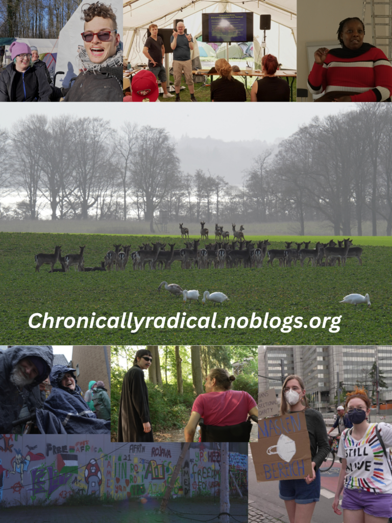 7m

chronicallyradical.noblogs.org, a photo collage featuring stills from the film. A large group of deer in a green meadow, with a shimmering lake and tall trees in the background, and four swans in the foreground. Below this, a picture of a white man with a white beard smiling next to a white woman in a wheelchair, both wearing blue rainwear. A painted wall: ‘Free Africa’, the Palestinian flag, a picture of a mushroom, Apo, Afrin, Rojava, ‘Freedom for Kurdistan’, YPG. A white person in a black coat with a glued-on beard and sunglasses; next to them, a person in a pink T-shirt in a wheelchair. Two masked demonstrators holding a sign reading “Mask Area”, a white person wearing sunglasses and a keffiyeh, behind them a white person wearing a purple hat and with blue hair, two people using sign language in front of a monitor and an audience, a Black woman with short dreadlocks wearing a red, white and black striped jumper.

